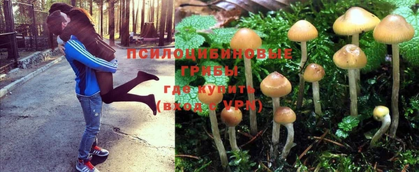 mdma Белокуриха