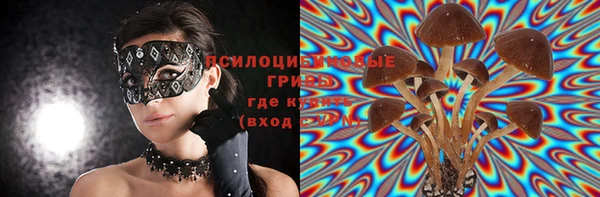 mdma Белокуриха