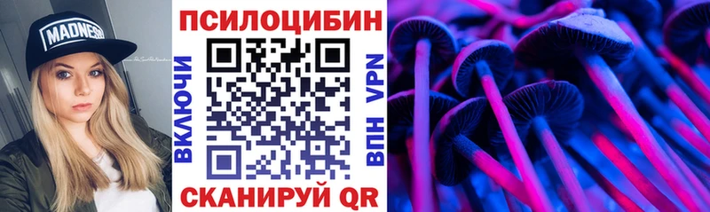 Псилоцибиновые грибы GOLDEN TEACHER  купить наркотик  Семикаракорск 