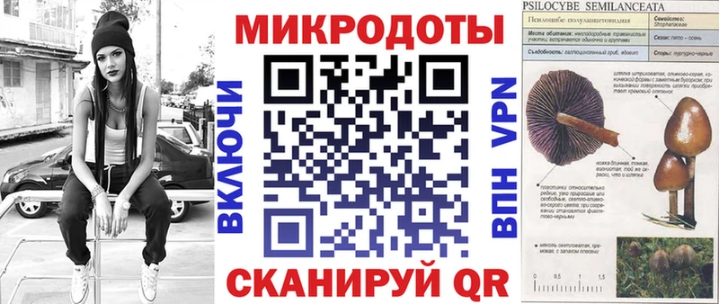 Псилоцибиновые грибы мицелий Семикаракорск